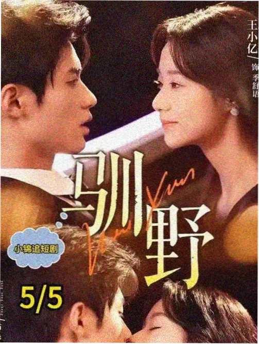 火龙果影视剧集连播作品双生刻度的刻度盘海报